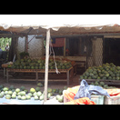 … und an Melonen